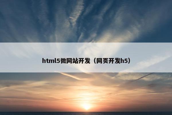 html5微网站开发（网页开发h5）