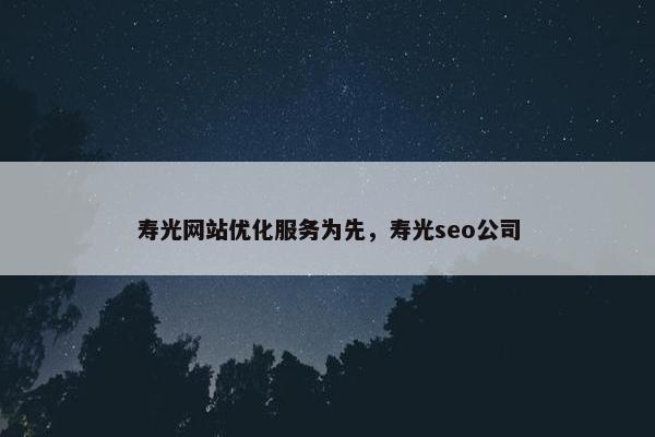 寿光网站优化服务为先，寿光seo公司