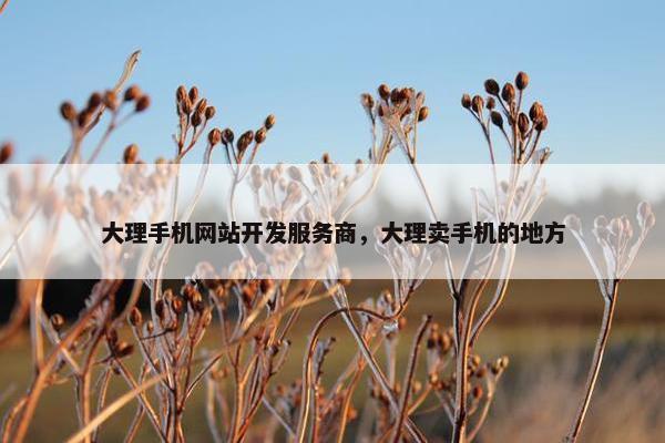 大理手机网站开发服务商，大理卖手机的地方