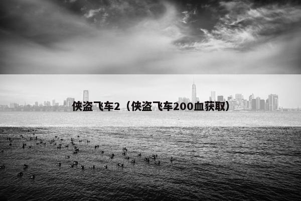 侠盗飞车2（侠盗飞车200血获取）