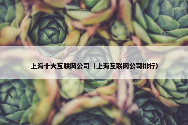 上海十大互联网公司（上海互联网公司排行）