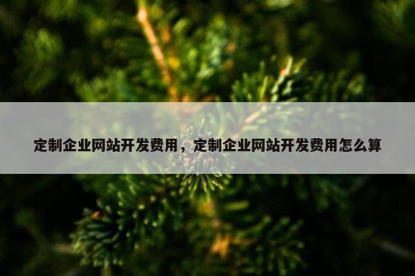 定制企业网站开发费用，定制企业网站开发费用怎么算