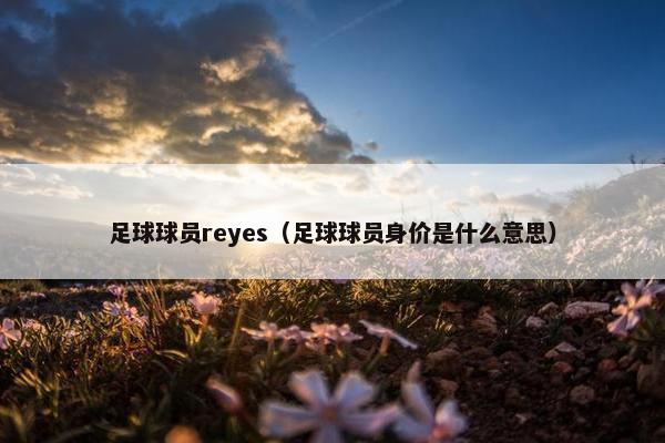 足球球员reyes（足球球员身价是什么意思）