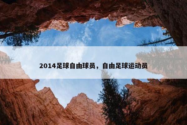 2014足球自由球员，自由足球运动员