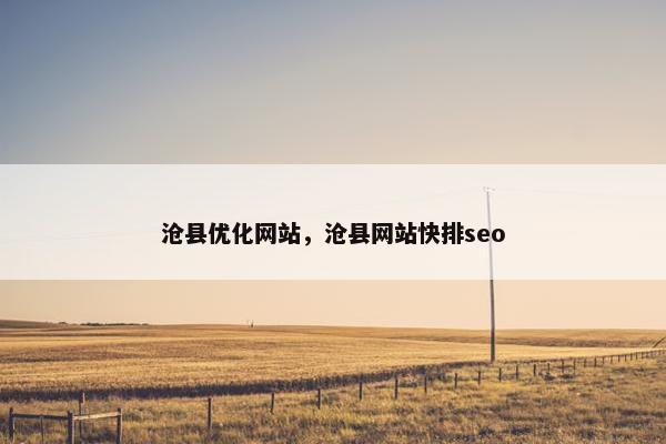 沧县优化网站，沧县网站快排seo