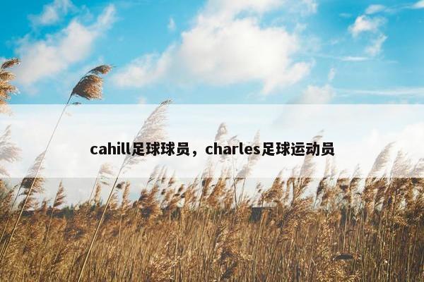 cahill足球球员，charles足球运动员