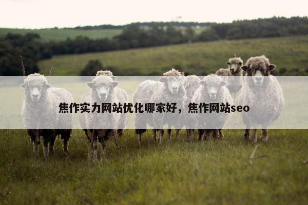 焦作实力网站优化哪家好，焦作网站seo