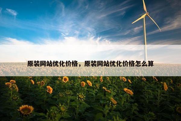 原装网站优化价格，原装网站优化价格怎么算