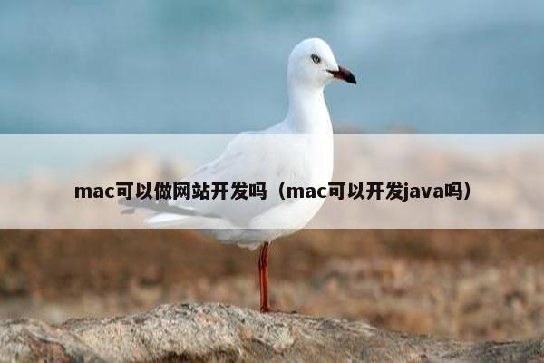 mac可以做网站开发吗（mac可以开发java吗）