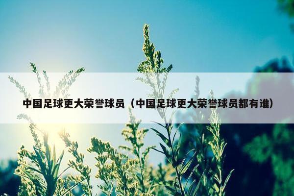 中国足球更大荣誉球员（中国足球更大荣誉球员都有谁）