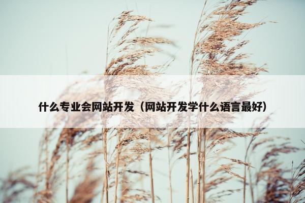 什么专业会网站开发（网站开发学什么语言最好）