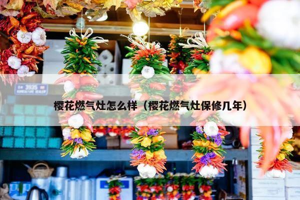 樱花燃气灶怎么样（樱花燃气灶保修几年）