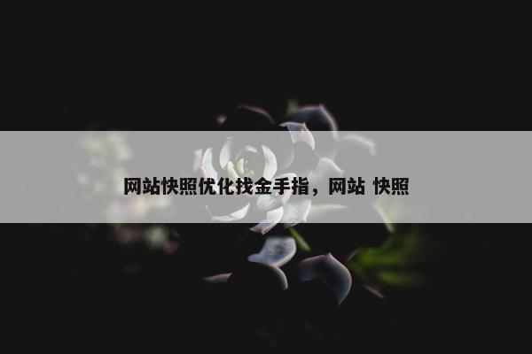 网站快照优化找金手指，网站 快照