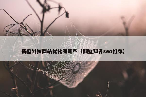 鹤壁外贸网站优化有哪些（鹤壁知名seo推荐）