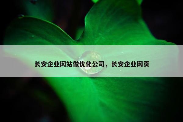 长安企业网站做优化公司，长安企业网页