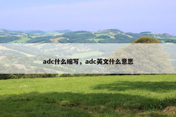 adc什么缩写，adc英文什么意思