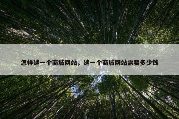 怎样建一个商城网站，建一个商城网站需要多少钱