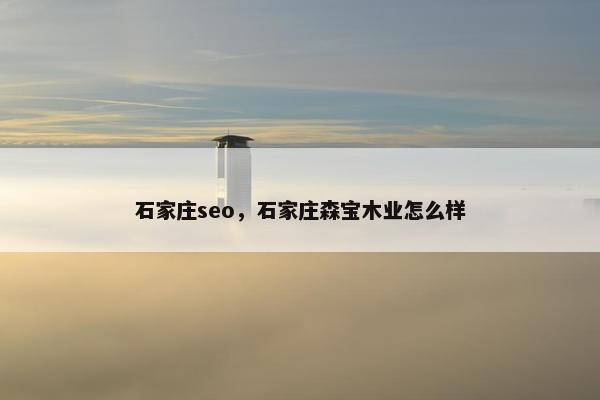 石家庄seo，石家庄森宝木业怎么样