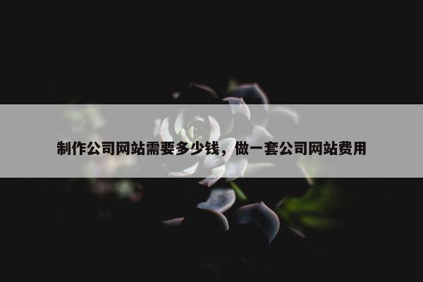 制作公司网站需要多少钱，做一套公司网站费用