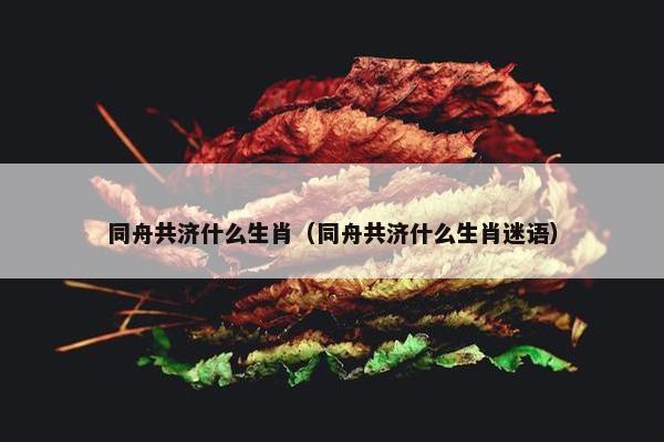 同舟共济什么生肖（同舟共济什么生肖迷语）