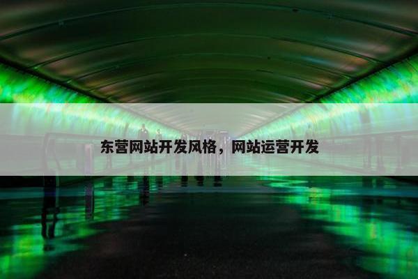 东营网站开发风格，网站运营开发