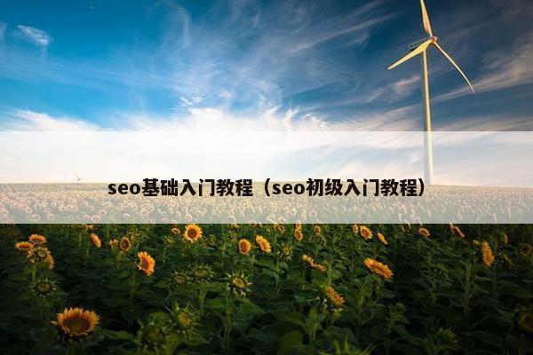 seo基础入门教程（seo初级入门教程）