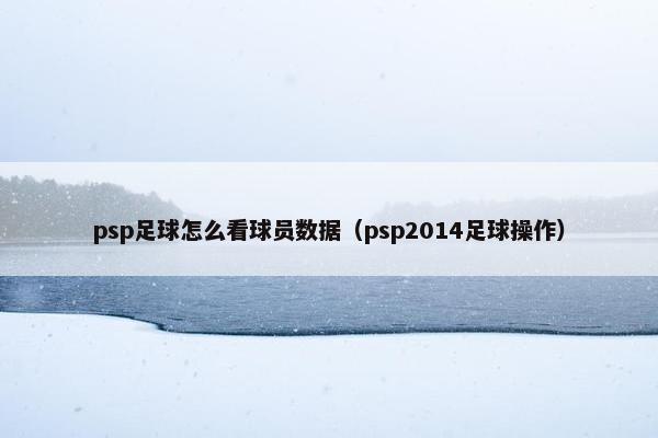 psp足球怎么看球员数据（psp2014足球操作）