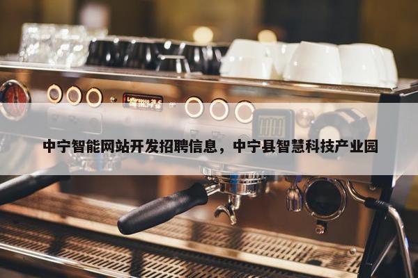 中宁智能网站开发招聘信息，中宁县智慧科技产业园