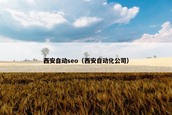 西安自动seo（西安自动化公司）