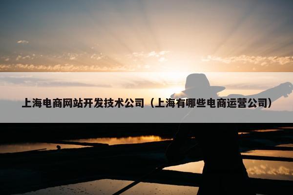 上海电商网站开发技术公司（上海有哪些电商运营公司）