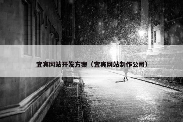 宜宾网站开发方案（宜宾网站制作公司）