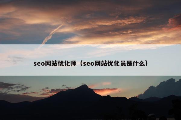 seo网站优化师（seo网站优化员是什么）