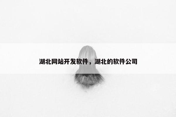 湖北网站开发软件，湖北的软件公司