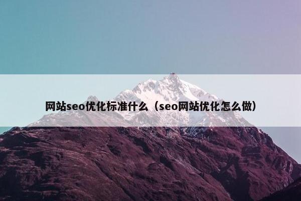 网站seo优化标准什么（seo网站优化怎么做）