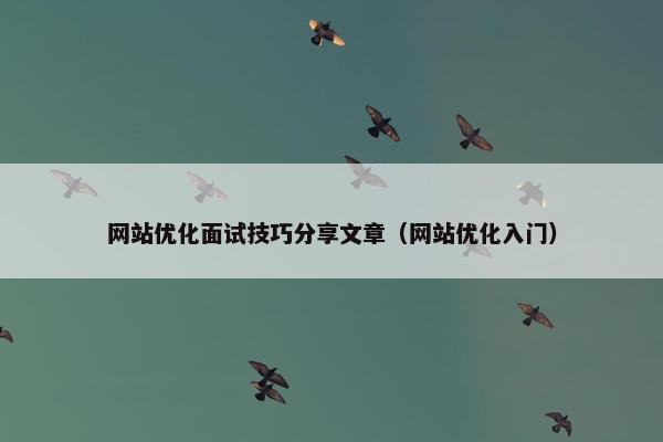 网站优化面试技巧分享文章（网站优化入门）