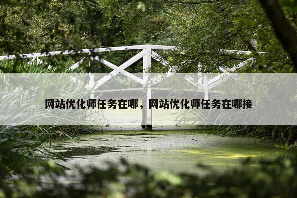 网站优化师任务在哪，网站优化师任务在哪接