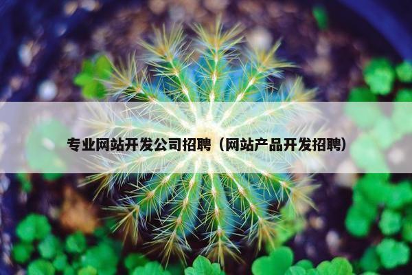 专业网站开发公司招聘（网站产品开发招聘）