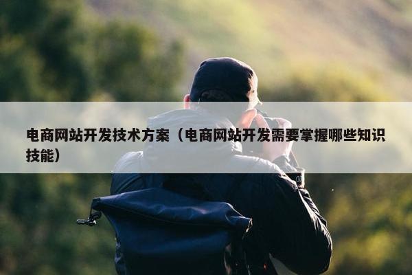 电商网站开发技术方案（电商网站开发需要掌握哪些知识技能）