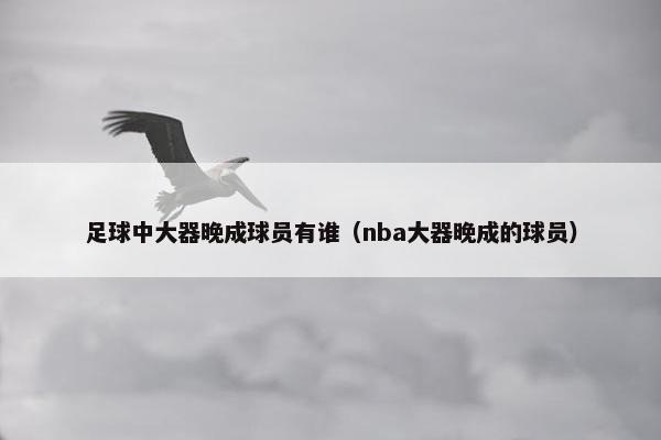 足球中大器晚成球员有谁（nba大器晚成的球员）