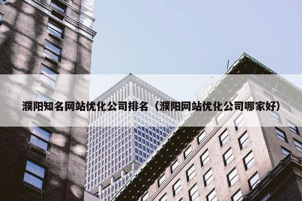 濮阳知名网站优化公司排名（濮阳网站优化公司哪家好）