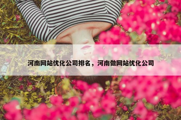 河南网站优化公司排名，河南做网站优化公司