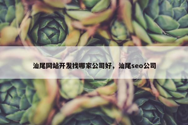 汕尾网站开发找哪家公司好，汕尾seo公司