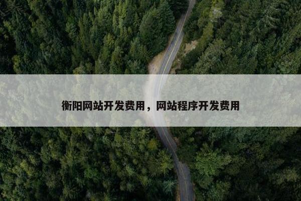 衡阳网站开发费用，网站程序开发费用