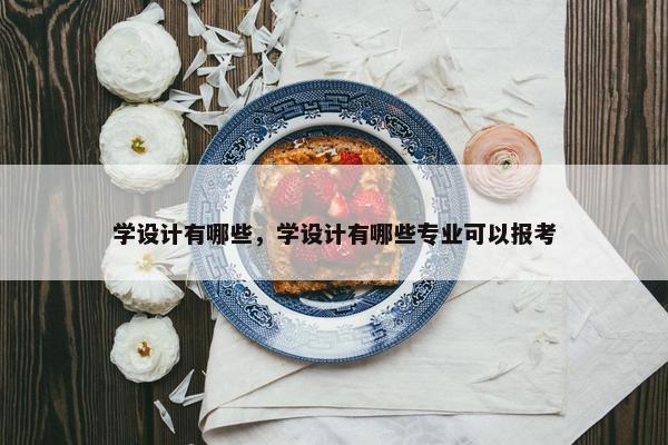 学设计有哪些，学设计有哪些专业可以报考