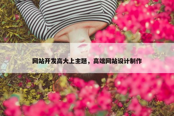 网站开发高大上主题，高端网站设计制作