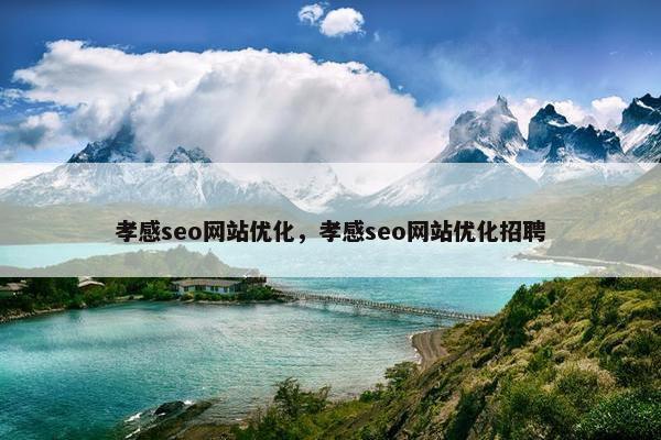 孝感seo网站优化，孝感seo网站优化招聘