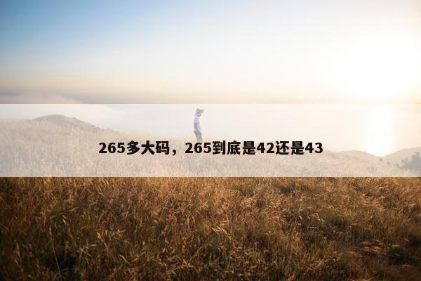 265多大码，265到底是42还是43