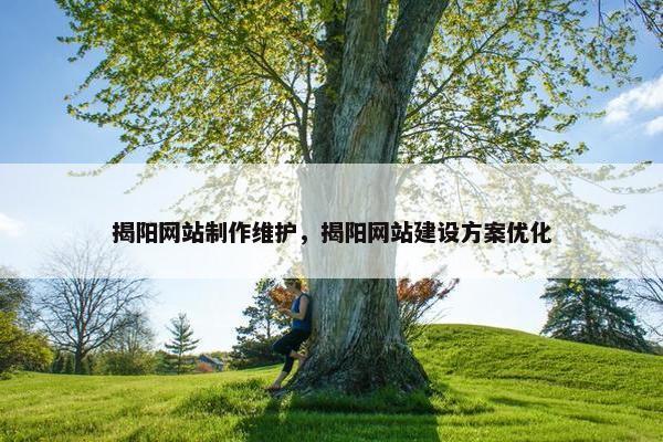 揭阳网站制作维护，揭阳网站建设方案优化