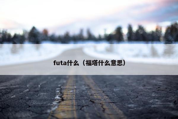 futa什么（福塔什么意思）