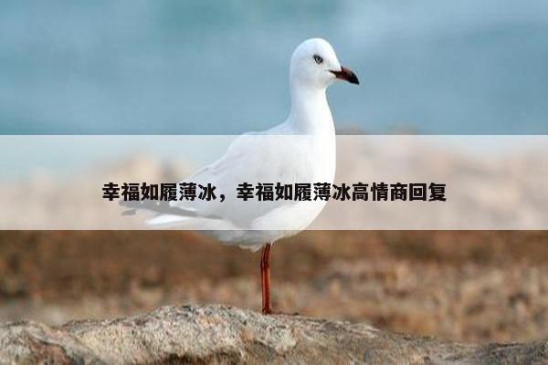 幸福如履薄冰，幸福如履薄冰高情商回复